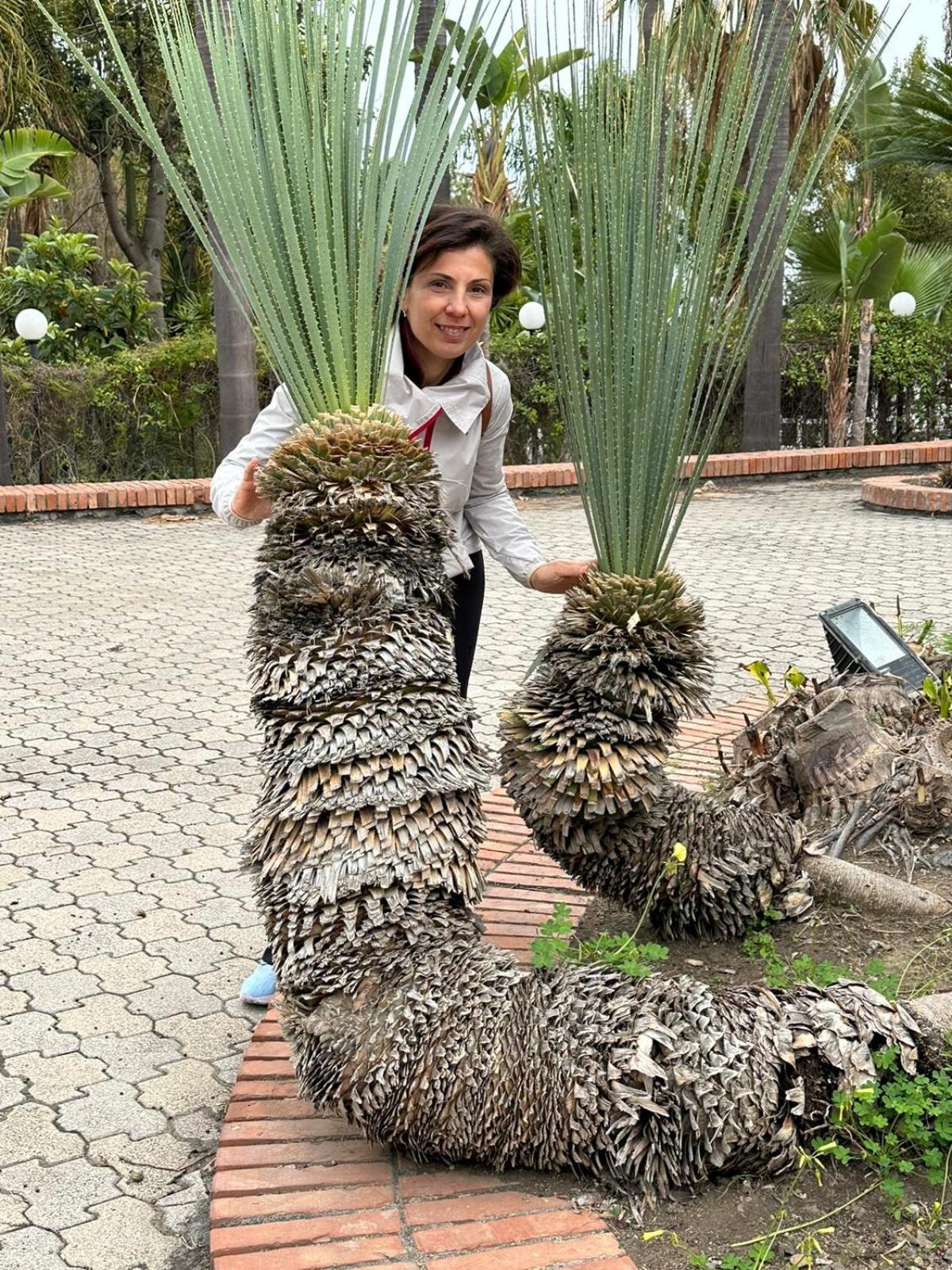 Adriana Casa Vacanze Mare Etna Sicilia Acireale Eksteriør billede